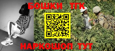 индика Ливны