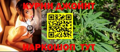 индика Ливны