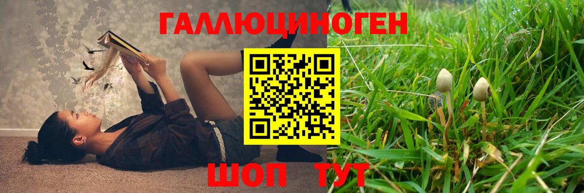 Учалы  Галлюциногенные грибы мицелий  Вход с VPN 
